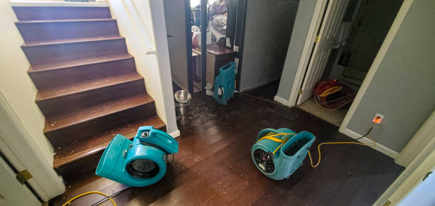 Best 24-hour water damage restoration  in Macedonia, OH