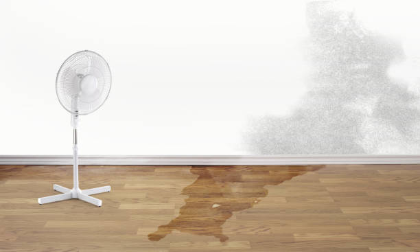 Best Sewage cleanup and water damage restoration  in Macedonia, OH