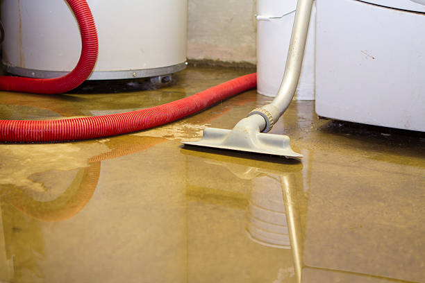 Best Water damage restoration near me  in Macedonia, OH