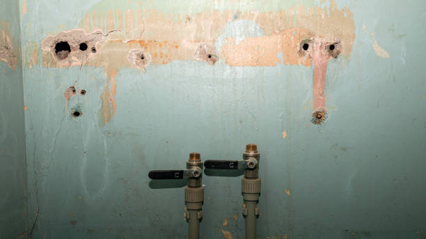 Best Water damage cleanup near me  in Macedonia, OH