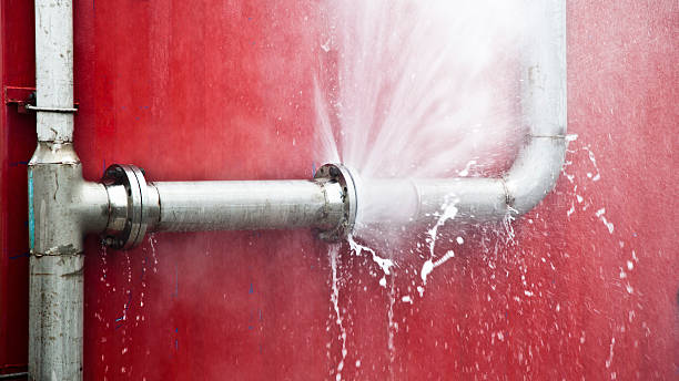 Best Carpet water damage restoration  in Macedonia, OH